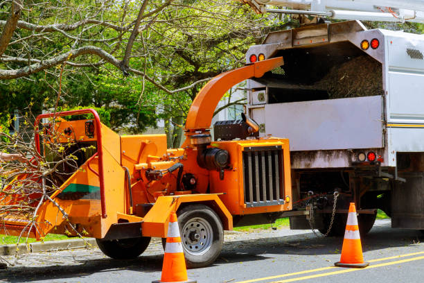 Seasonal Cleanup (Spring/Fall) in Newville, PA